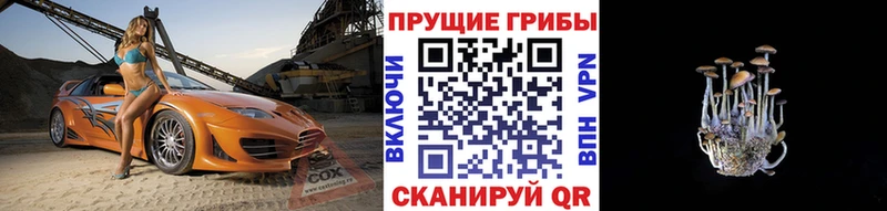 Псилоцибиновые грибы ЛСД  Купить закладки  Домодедово 